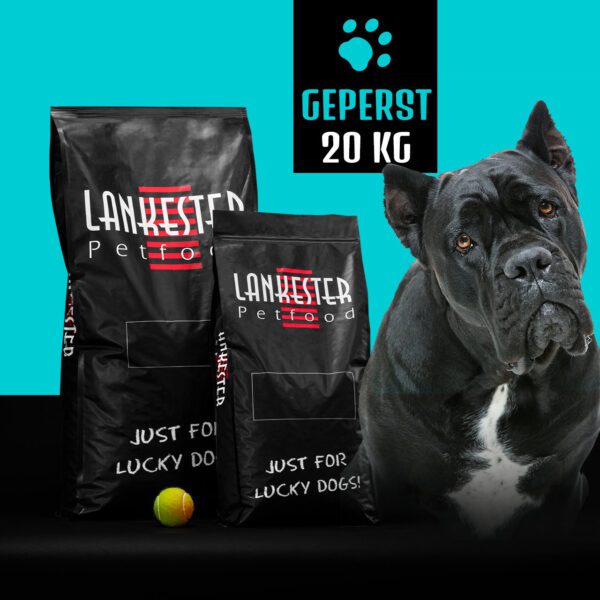 Poulet/Porc/Bœuf-Riz ACTIF 25/14 (Pressées à froid)