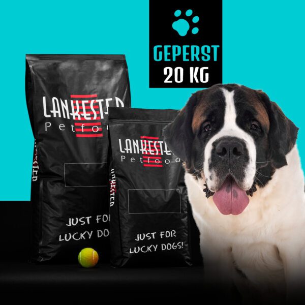 Saumon/Poulet-Riz 26/11 (Pressées à froid)