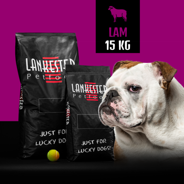 Agneau-Riz SUPER PREMIUM ENTRETIEN 25/13