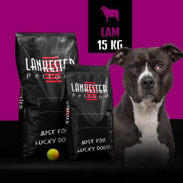 Agneau-Riz SUPER PREMIUM PERFORMANCE 30/20