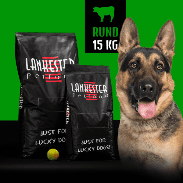 Bœuf ÉNERGIE 26/16